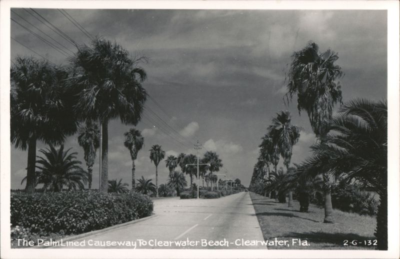Palm Lined Causeway to Clearwater Beach Florida