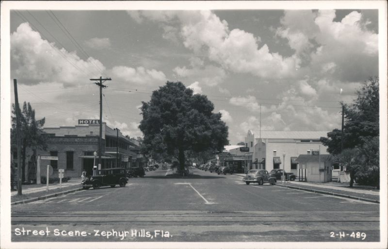 Street Scene in Zephyrhills, Florida