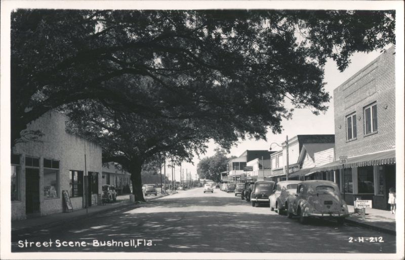 Bushnell, Florida Main Street Scene