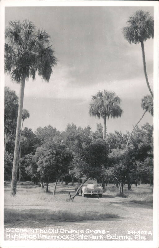 Old Orange Grove, Highlands Hammock State Park Sebring Florida