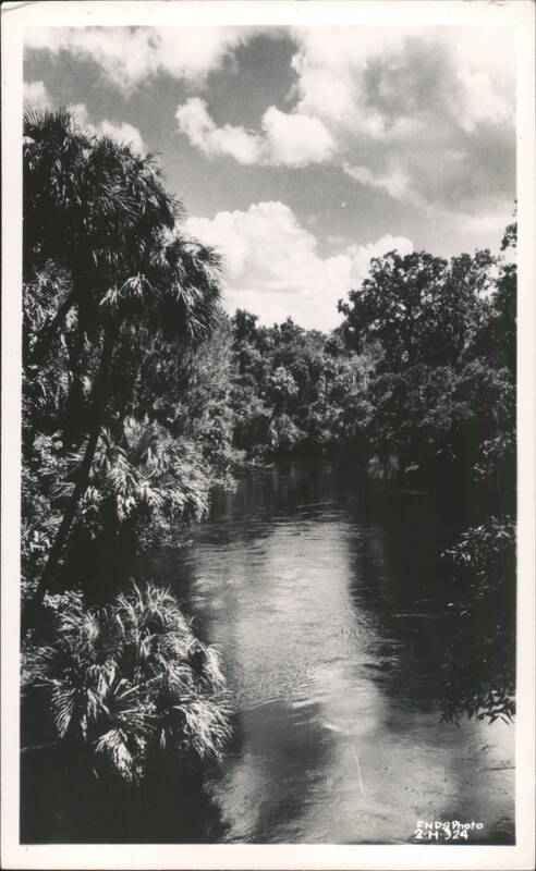 Hillsborough River State Park Thonotosassa Florida