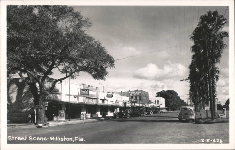 Williston, FL Main Street Scene with Businesses and Cars Florida