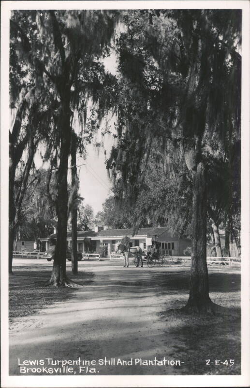 Horse-Drawn Carriage at Lewis Turpentine Still and Plantation Brooksville Florida