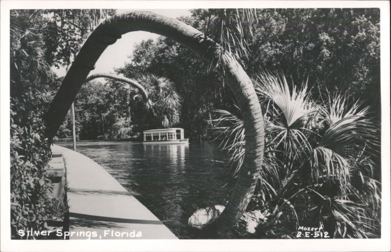 Glass-Bottom Boat Tour, Silver Springs, Florida