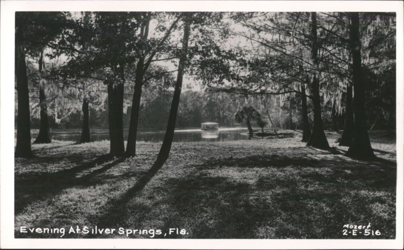Evening at Silver Springs, Florida
