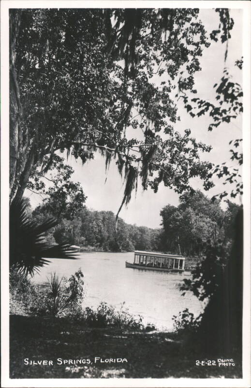 Glass-Bottom Boat Tour, Silver Springs, Florida