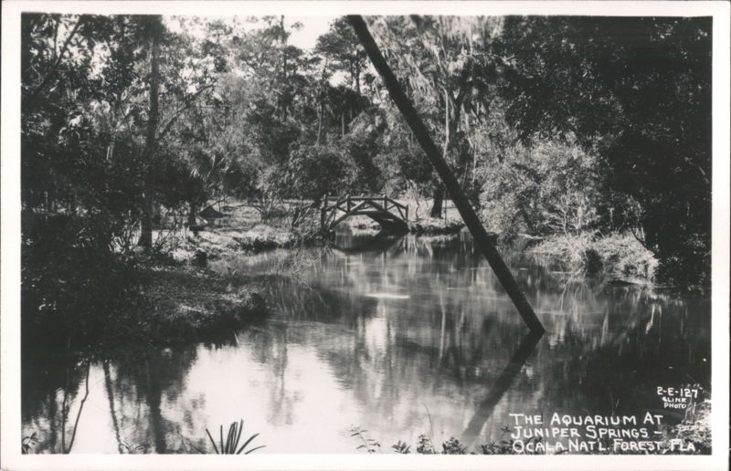 Wooden Footbridge at Juniper Springs, Ocala National Forest Silver Springs Florida