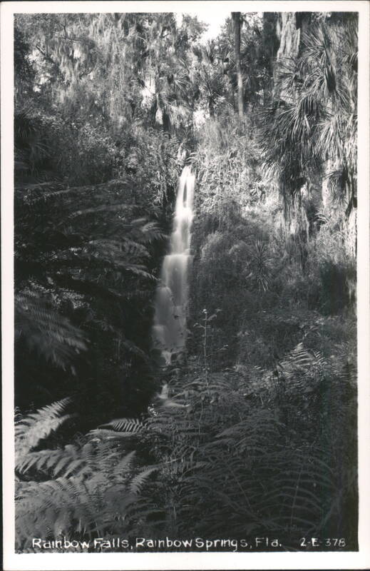 Rainbow Falls at Rainbow Springs, Florida Dunnellon