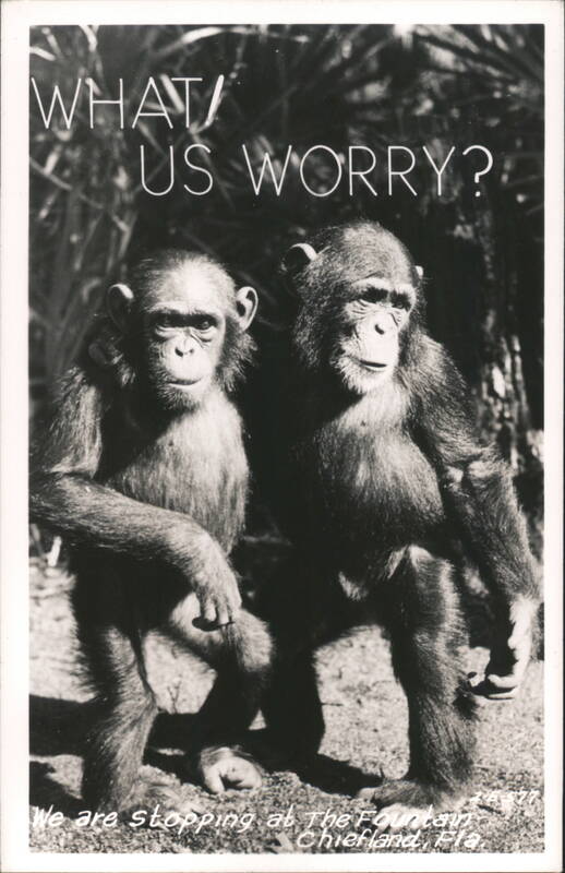 Two Chimpanzees at The Fountain, Chiefland, Florida