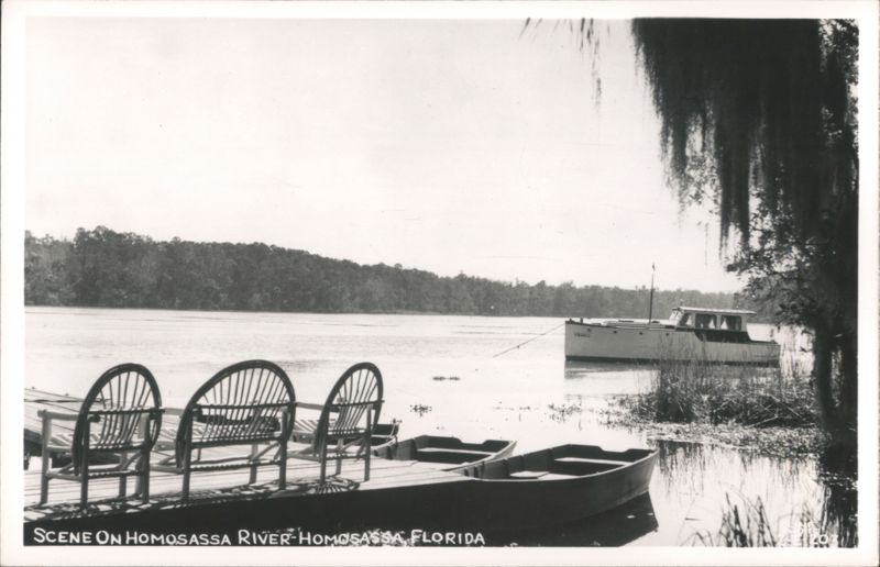 Homosassa River Boat and Dock Scene, Florida