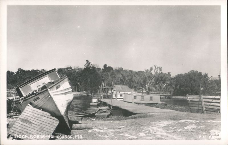 Homosassa, Florida Dock Scene with Boats and Buildings