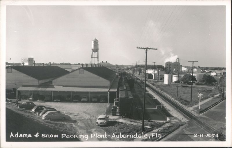 Adams & Snow Packing Plant, Auburndale FL - Rail Cars & Parking Lot Florida