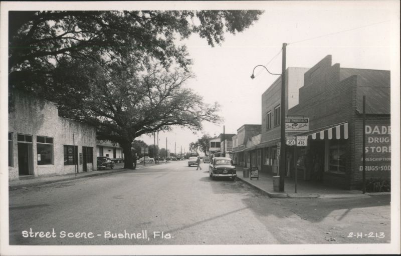 Bushnell Florida Main Street View with Dade Pharmacy