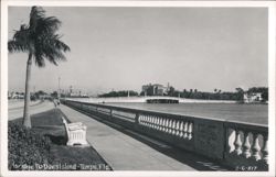 Davis Islands Bridge, Tampa, FL Postcard