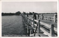 Ballast Point Fishing Pier, Tampa, Florida Postcard