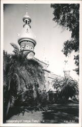 University of Tampa's Minarets and Palm Trees Postcard