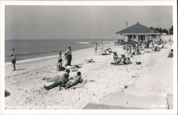Beachgoers Relaxing on Clearwater Beach, Florida Postcard