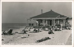 Palm Pavilion on Clearwater Beach Postcard