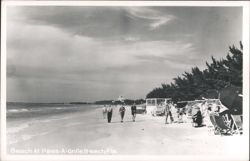 Beachgoers Enjoying the Sand and Surf at Pass-A-Grille Beach Postcard