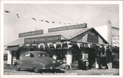 St. Nicholas Curio Store and Boat Line, Tarpon Springs, FL Postcard
