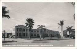 Lake Alfred Citrus Growers Association Building Postcard