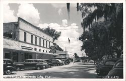 Dade City, Florida Main Street Scene with Rexall Drugs and Tourist Home Postcard