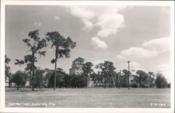 Harder Hall, Sebring, Florida Postcard