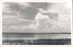 Lake Rex Beach, Sebring, Florida Postcard