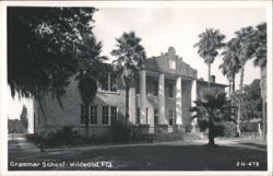Wildwood Grammar School with Palm Trees and Landscaping Postcard