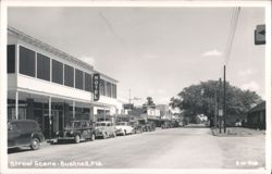Bushnell, Florida Main Street Scene Postcard