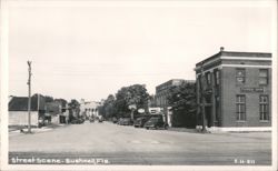 Bushnell, Florida Street Scene with Florida Bank Postcard
