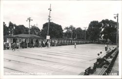 Shuffleboard Courts in Lakeland, Florida Postcard