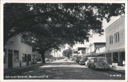 Bushnell, Florida Main Street Scene Postcard