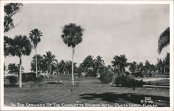 Charlotte Harbor Hotel Grounds, Punta Gorda, Florida Postcard