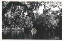 Hillsborough River State Park Postcard