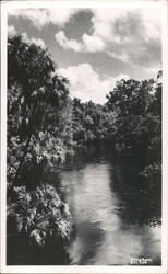 Hillsborough River State Park Postcard