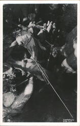 Fishing at Hillsborough River State Park Postcard