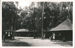 Hillsborough River State Park Buildings Postcard
