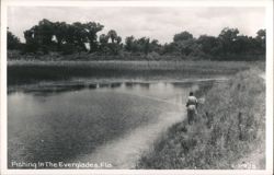 Fishing in the Everglades, Florida Postcard