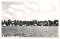 Yacht Basin, Fort Myers, Florida Postcard