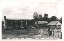 Lewis Plantation and Turpentine Still, Brooksville, Florida Postcard