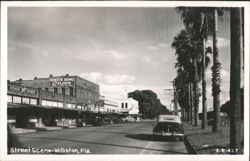 Williston, Florida Main Street Scene with Vintage Cars Postcard