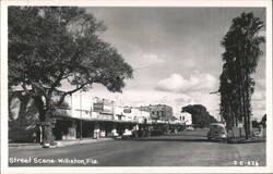 Williston, FL Main Street Scene with Businesses and Cars Postcard