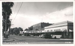 Williston, Florida Main Street Scene Postcard