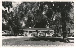 Lewis Plantation and Turpentine Still Entrance, Brooksville FL Postcard