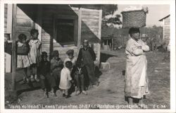 Turpentine Still and Plantation Workers, Brooksville, FL Postcard
