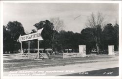 Lewis Plantation and Turpentine Still, Brooksville FL Postcard