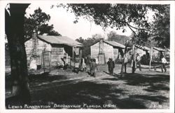 Lewis Plantation Homes, Brooksville FL Postcard