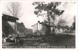 Lewis Plantation Negro Quarters and Turpentine Still - Brooksville, FL Postcard