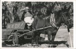 Mule-Drawn Tour at Lewis Plantation Turpentine Still Postcard